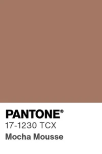 Muestra del color Pantone 17-1230 TCX Mocha Mousse, un tono cálido y versátil para 2025.